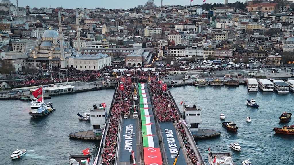 Thousands March in Istanbul For Palestine On New Year’s Day