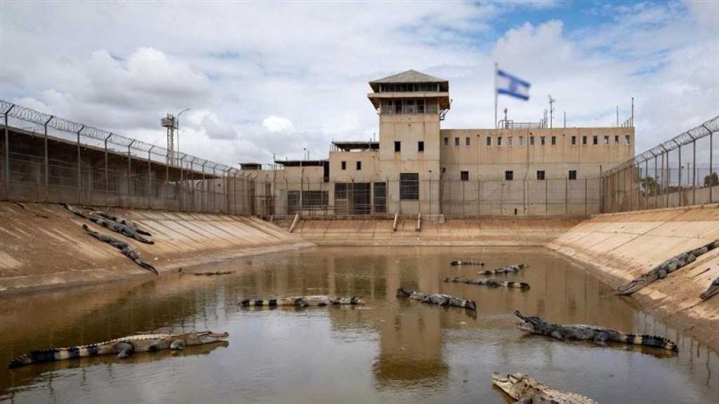 Ben Gvir’s Crocodile Prisons: A Brutal Proposal