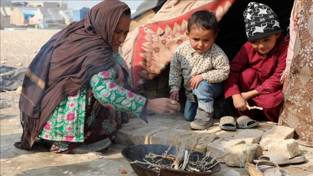 Afghanistan: Winter, Aid Cuts Deepen Hunger Crisis