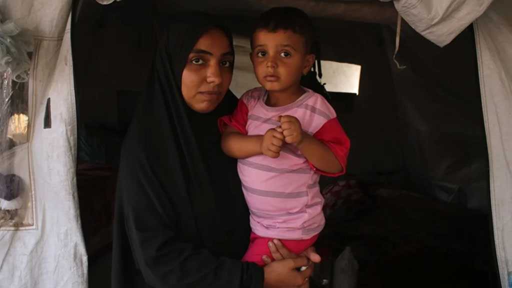 ‘When Will Baba Come Back?’ Gaza’s Widows and Orphans Struggle to Survive