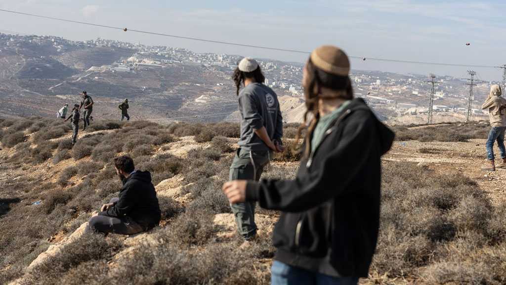 “Israeli” Army Admits Sharp Rise in Settler Terror as “Israel” Fails to Curb West Bank Violence