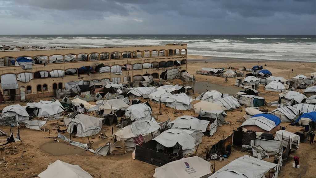 Leaked Plan Reveals US-Controlled ‘Board of Peace’ for Gaza
