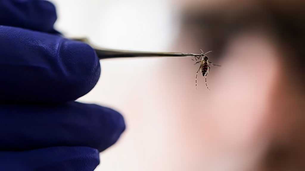 Study Warns: Painful Tropical Disease Spreads Across Europe