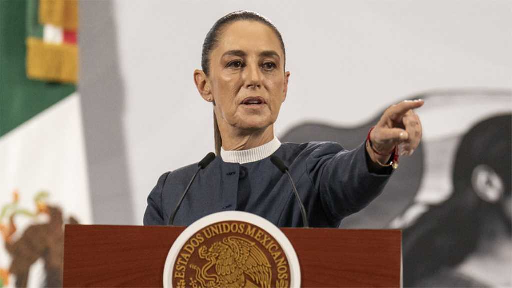 Sheinbaum Weighs Lawsuit After Musk Cartel Allegation