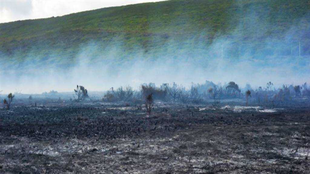 Lebanon: ’Israel’s’ ’Ecocide’ Campaign Ongoing Since 2023