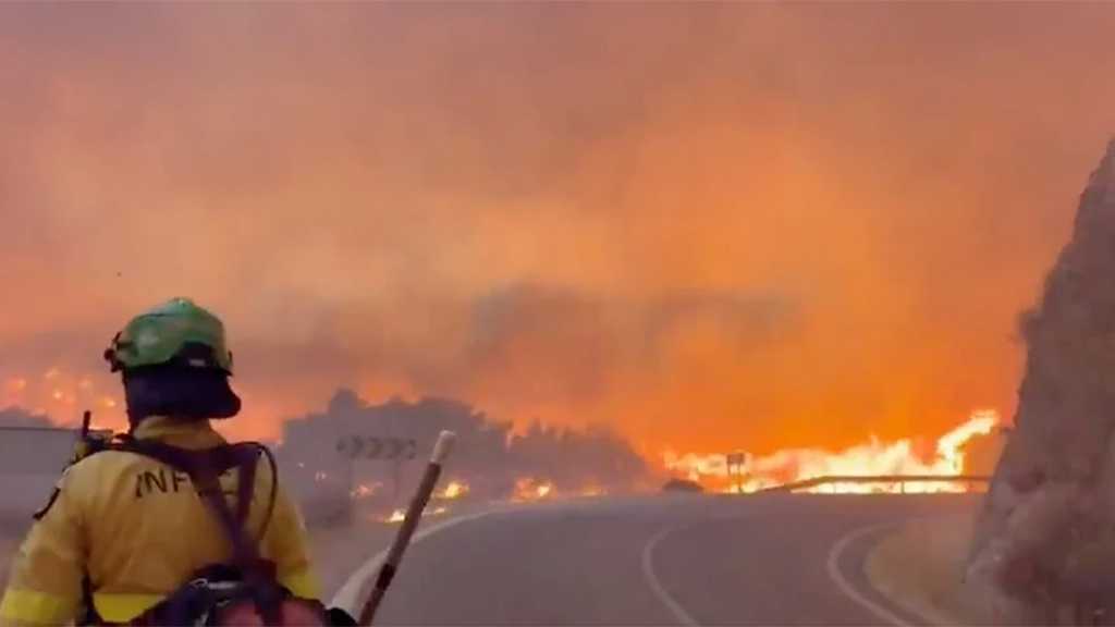 Deadly Wildfire Kills 12 in Southern Spain
