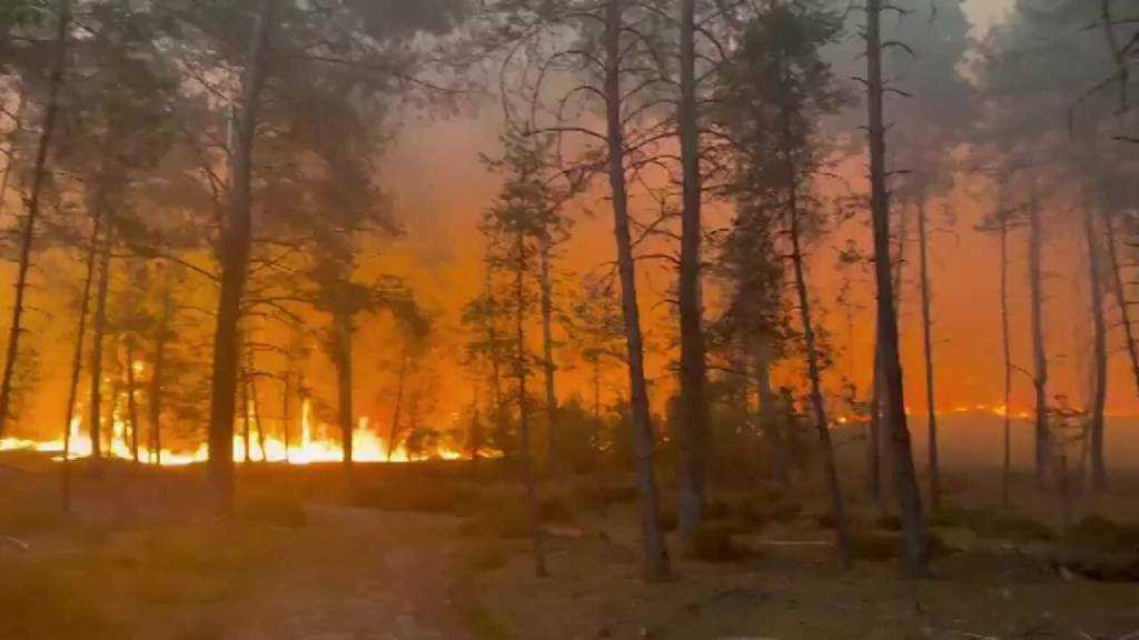 Wildfire Near Paris Triggers Aerial Firefighting Response