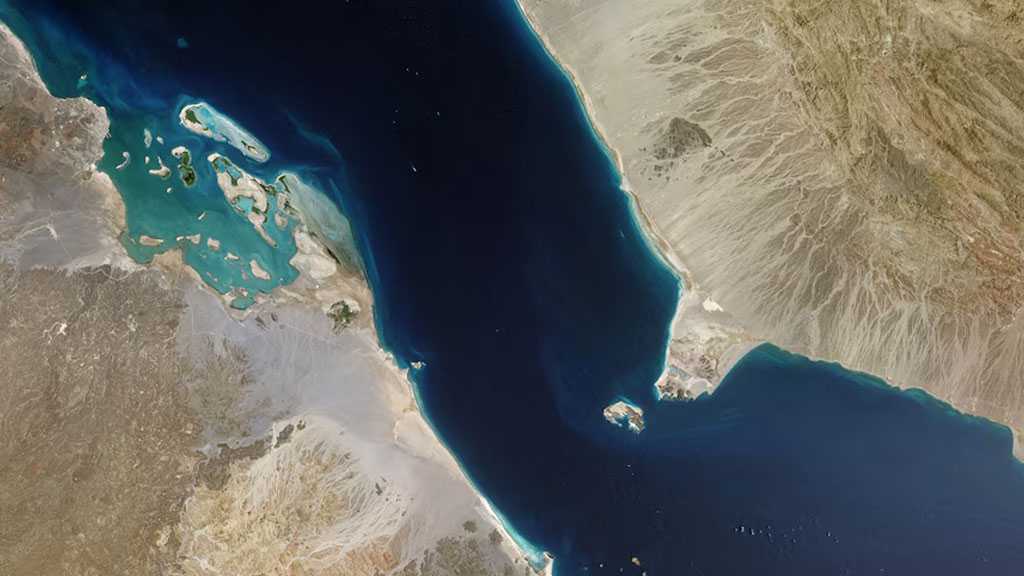 Oil Prices Stay Elevated as Ansarullah Tightens Pressure on Red Sea Shipping
