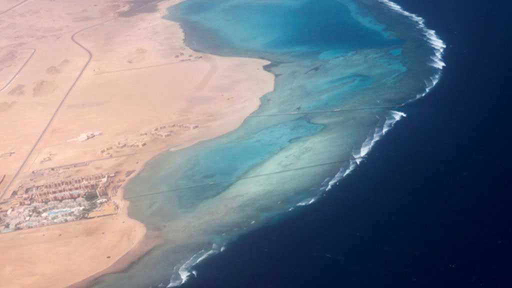 Reuters: Ansarullah Weighing Transit Fees for Commercial Shipping in the Red Sea