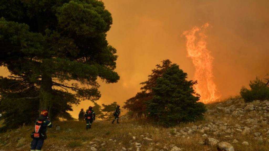 France Detains 420 Over Wildfire Suspicions