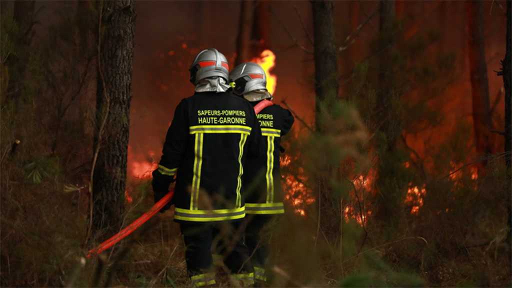 Russian Diplomat Rejects Claims Linking Moscow to French Wildfires