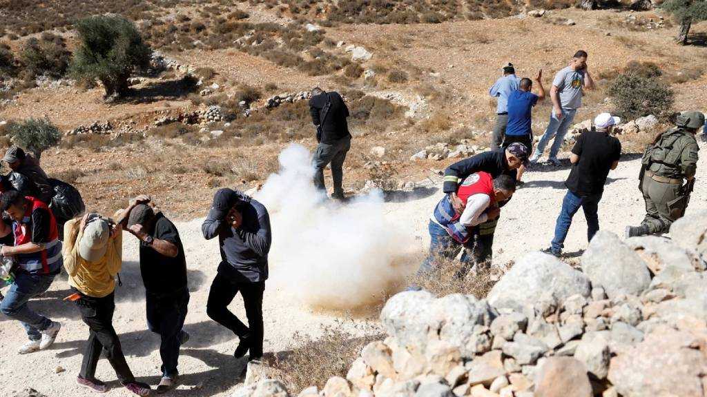 “Israeli” Settler Violence Soar 63% in First Half of 2026