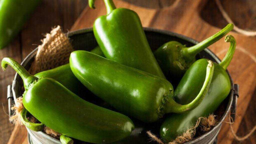 Major US Produce Supplier Recalls Jalapenos as Salmonella Outbreak Spreads