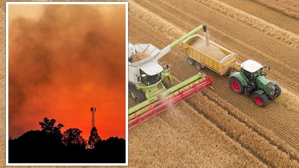 Europe’s Heatwave Crisis Threatens Food Supplies as Harvests Plunge Across EU