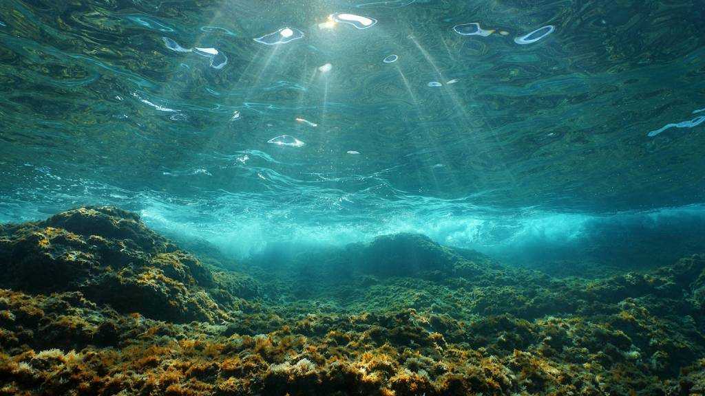 Carbon Pollution Drives “Massive Expansion” of Marine Heatwaves Across Europe