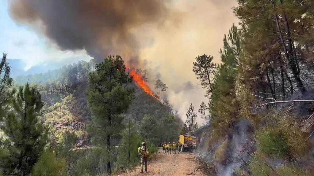 Europe’s Wildfire Risk to Rise 39% Even Under Best-Case Climate Scenario