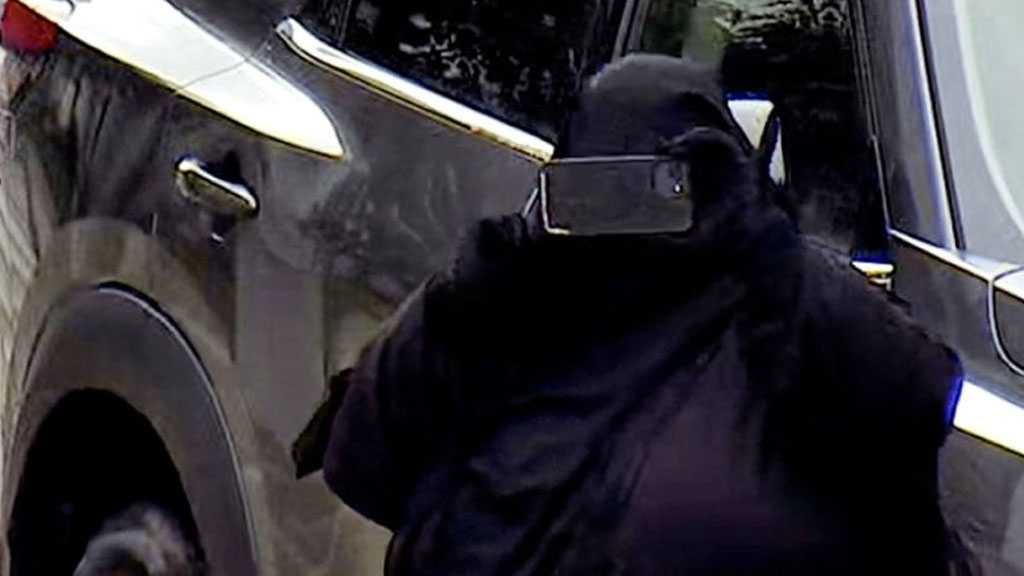 US Woman Charged in Daesh-Inspired Plot to Bomb New York State Capitol