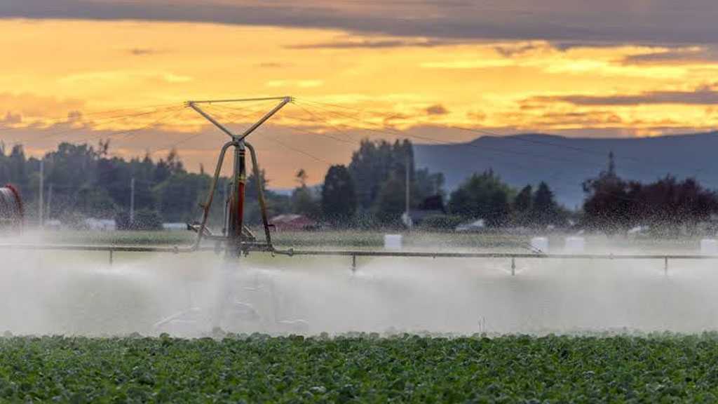 Iran War Drives US Farmers into Worst Crisis in 40 Years 