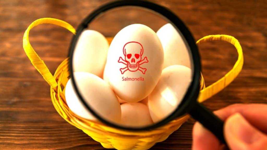 Telegraph: Ukrainian Eggs Linked To UK Salmonella Outbreak