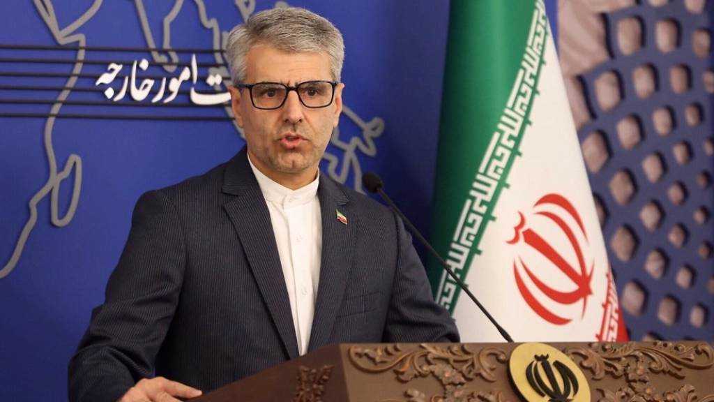 Baghaei: Diplomacy Moves in Harmony with Iran’s Other State Institutions