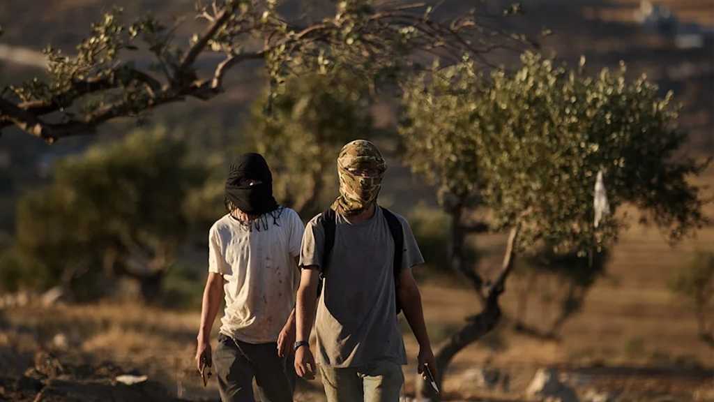 Settlers Raid Silwad and Steal Livestock