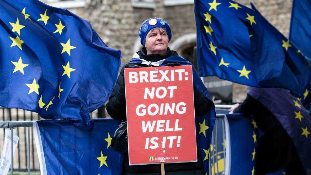  Nearly Half of UK Voters Back Rejoining EU, Poll Finds