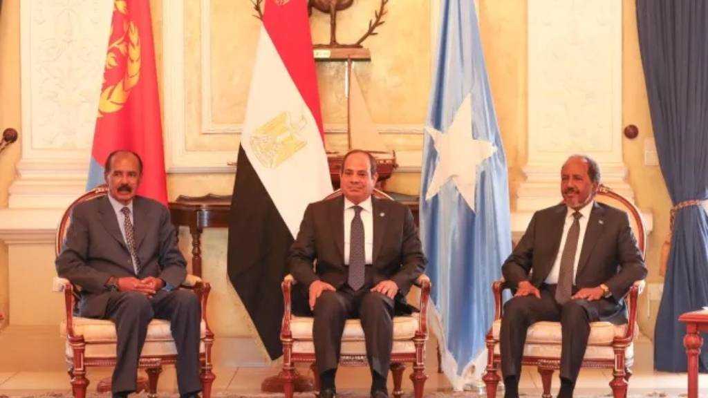 Egypt’s El-Sisi Hosts Summit with Eritrea, Somalia and Sudan Leaders