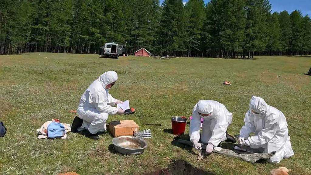  Siberian Plague Institute Worker Dies After Mysterious Illness