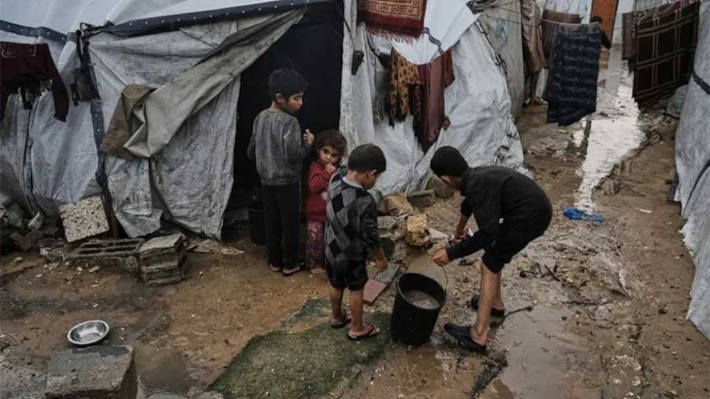  IOM: Nearly Two Million Palestinians in Gaza Need Emergency Shelter