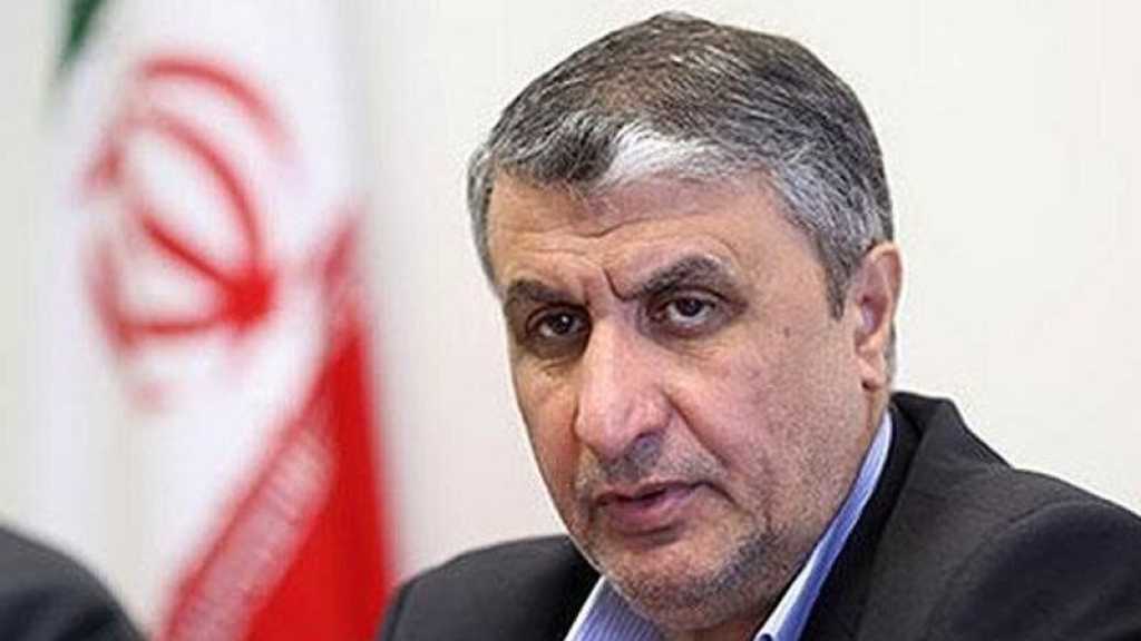 AEOI Chief: Iran’s Nuclear Science, Technology Capabilities Rival Those of Developed Countries