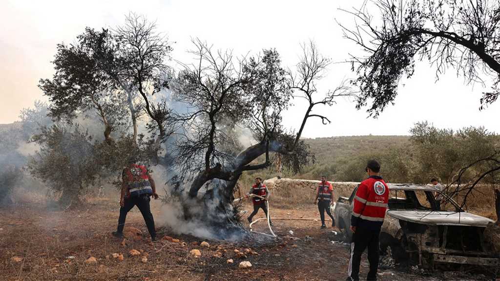  “Israeli” Attacks Kill Palestinian in Gaza, Settler Violence Escalates