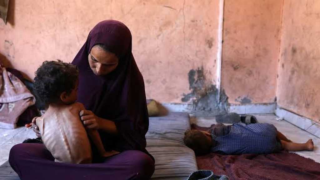  WFP Cuts Aid to 700000 Palestinians in Gaza, WB amid Funding Shortfall