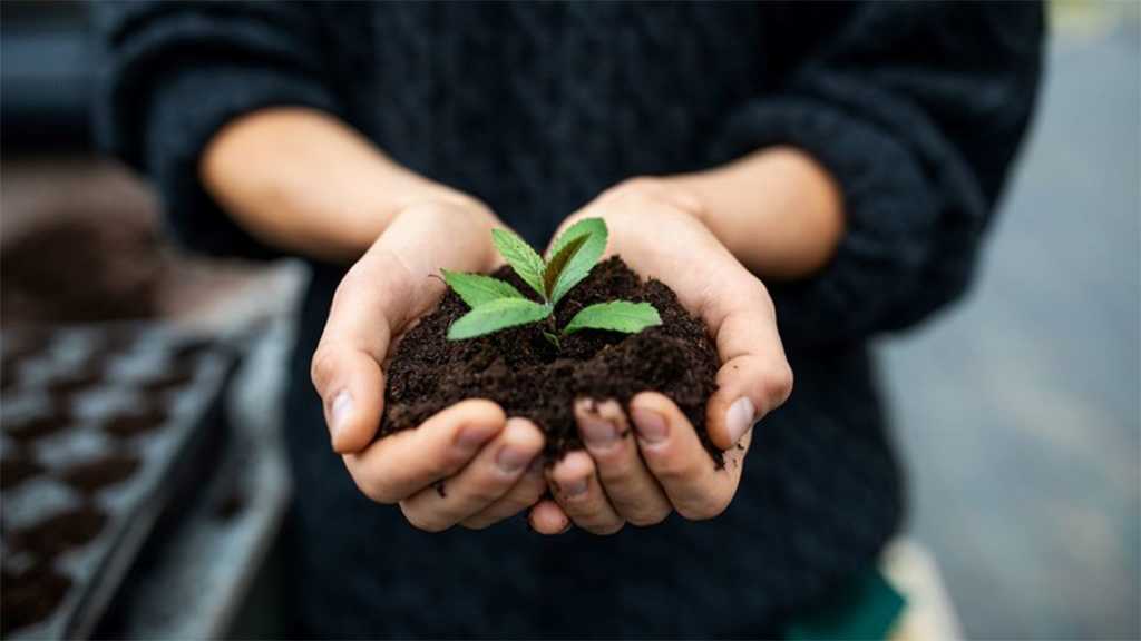  New South Wales Approves Human Composting Alternative