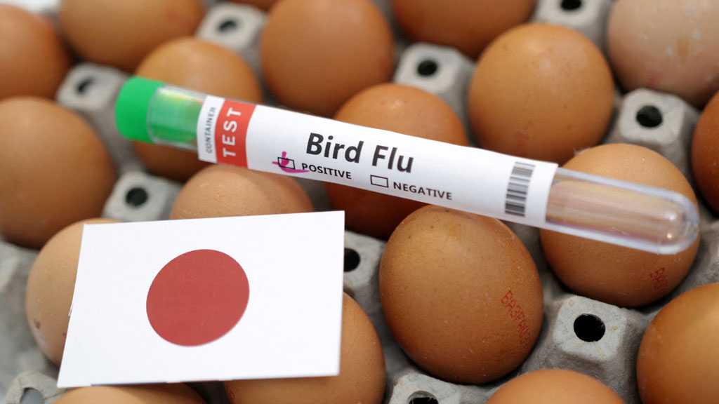 Japan Detects Potential First Bird Flu Case of the Season in Wild Goose